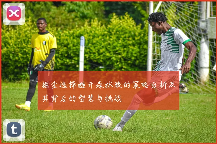 掘金选择避开森林狼的策略分析及其背后的智慧与挑战